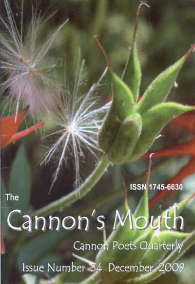 Cannon's Mouth