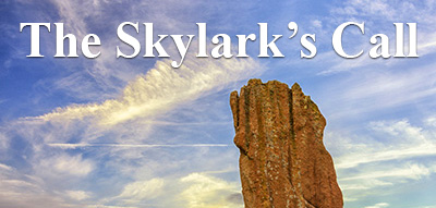skylark's call